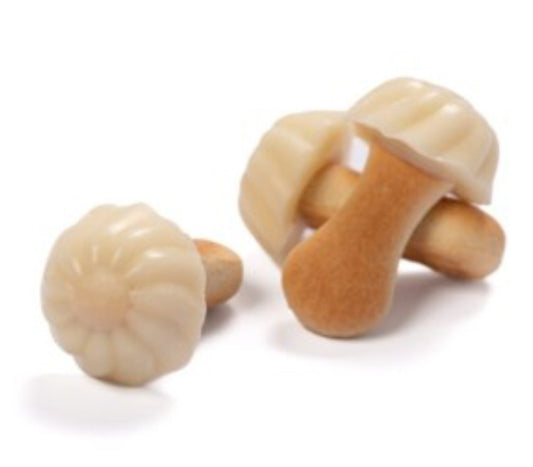 Champignons au chocolat blanc 100g