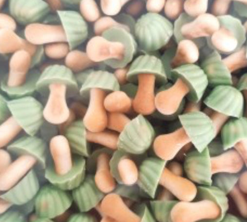 Champignons pistache 100g